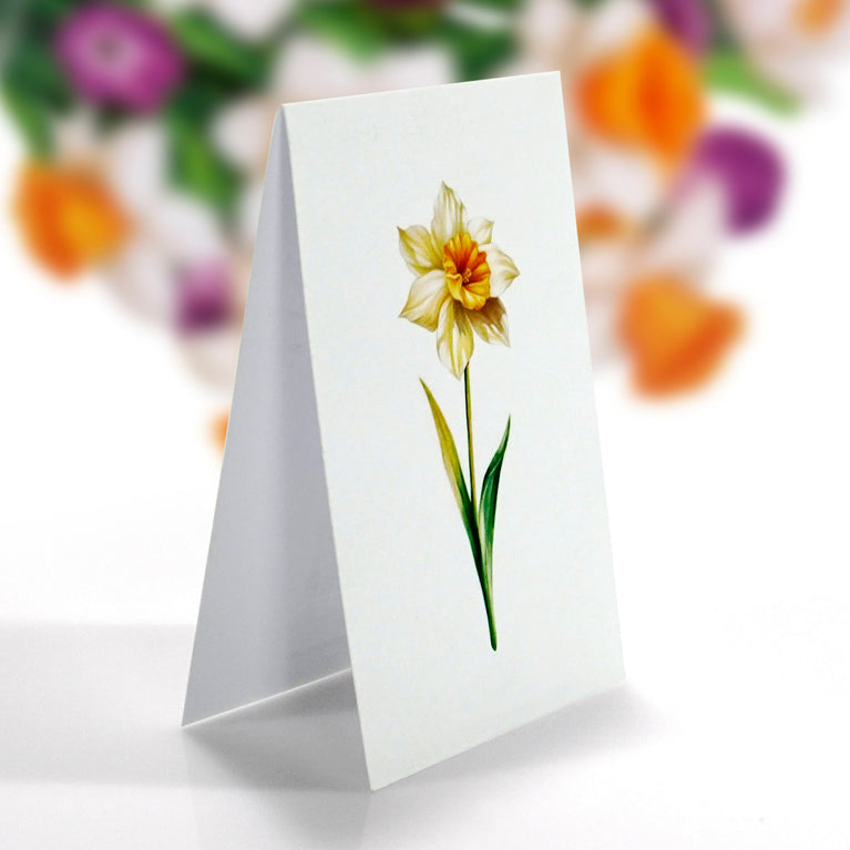 White Daffodils 3D Pop-up Card Flower Large size (10 x 12 inch)