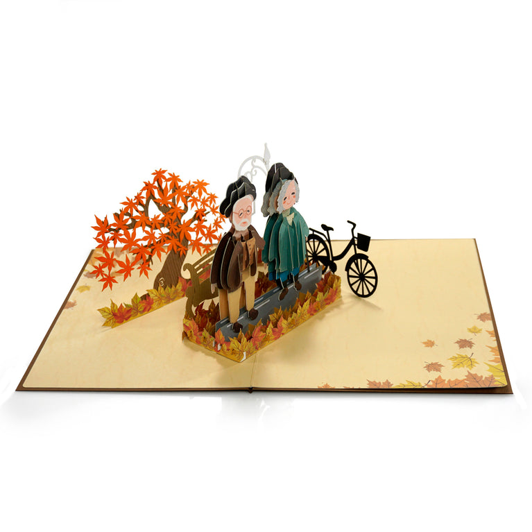 Anniversary 3D Greeting Pop Up Card Grow Old Together US