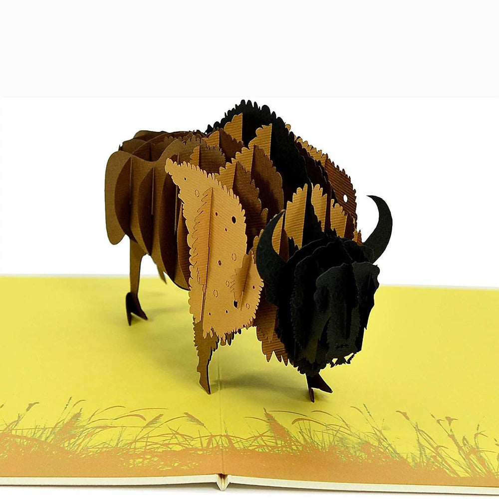 Bison American Buffalo 3D Pop Up Card