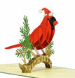 Christmas Cardinal Bird DIY 3D Greeting Card Kit