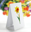 Daffodils 3D Pop-up Card Flower Small size (6 x 7.5 inch)