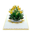 Daffodils Flower Pop Up Card