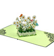 Daisy Bushes (Olearia) Hedge Plant Flower 3D Pop Up Card