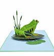 Frog 3D Pop Up Card
