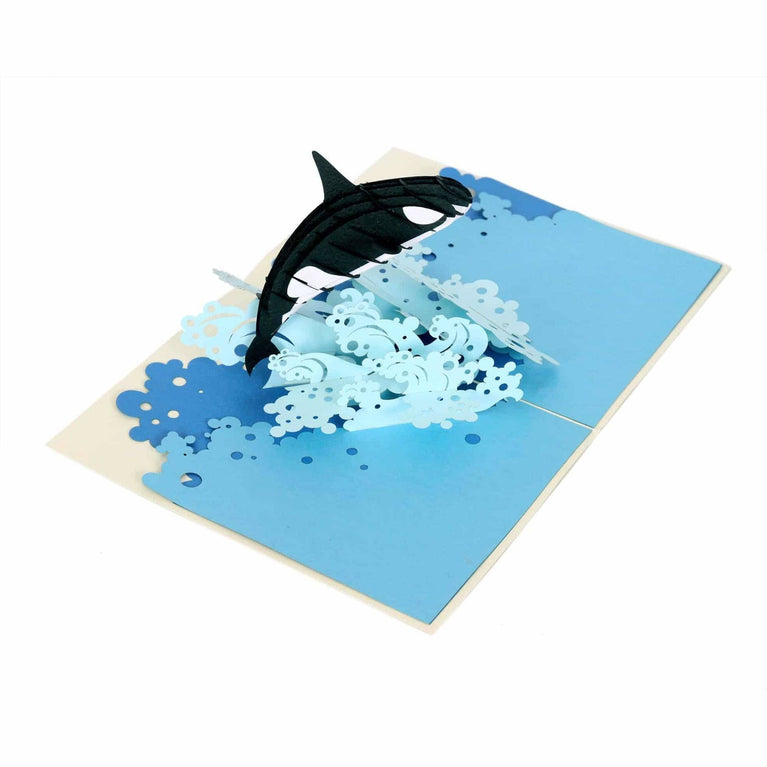 Orca Whale Pop Up Card