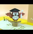Graduation Owl Pop Up Card