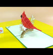 Cardinal Bird Pop Up Card