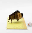 Bison American Buffalo 3D Pop Up Card