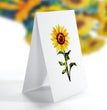 Sun Flower Paper 3D Pop-up Card Small size (6 x 7.5 inch)