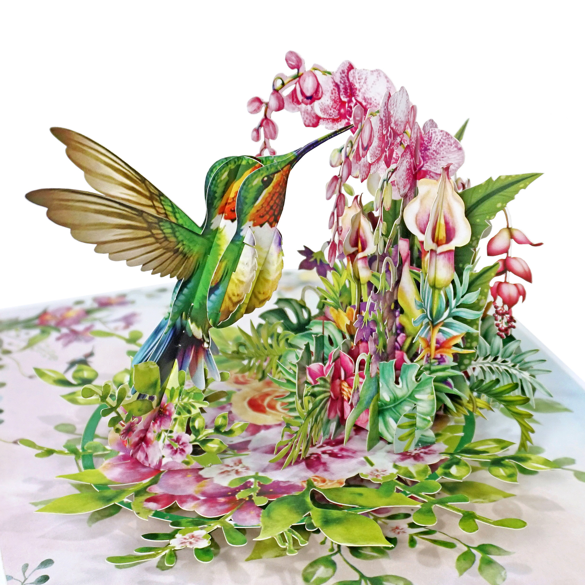 Hummingbird-3D-Popup-Greeting-Cards-01