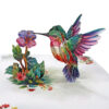 Hummingbird-Greeting-Cards-3D-Popup-Birthday-01