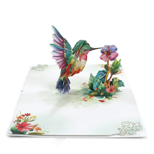 Hummingbird-Greeting-Cards-3D-Popup-Birthday-03