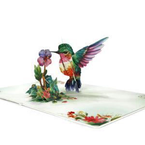 Hummingbird-Greeting-Cards-3D-Popup-Birthday-04