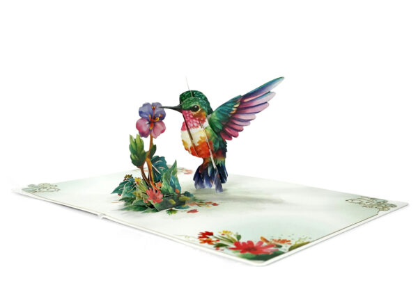 Hummingbird-Greeting-Cards-3D-Popup-Birthday-04