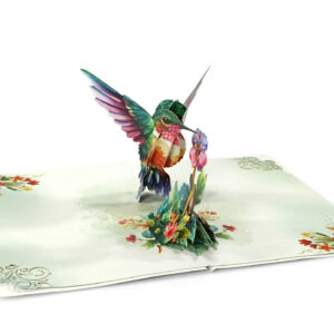 Hummingbird-Greeting-Cards-3D-Popup-Birthday-05