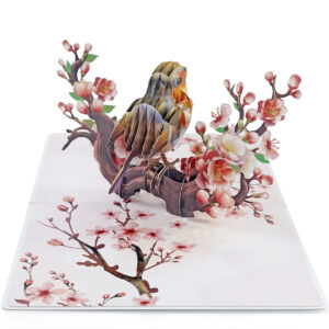 Robin-Birthday-Greeting-3D-Card-Pop-Up-03