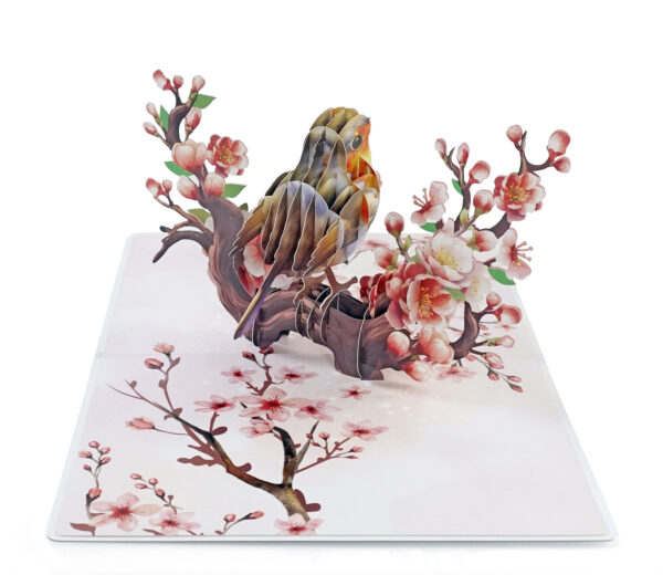 Robin-Birthday-Greeting-3D-Card-Pop-Up-03