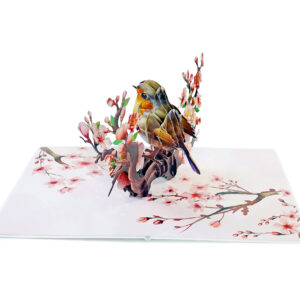 Robin-Birthday-Greeting-3D-Card-Pop-Up-06