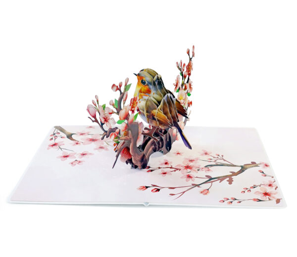 Robin-Birthday-Greeting-3D-Card-Pop-Up-06