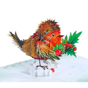 Set-Robin-3D-card-Christmas-01