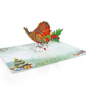 Set-Robin-3D-card-Christmas-02