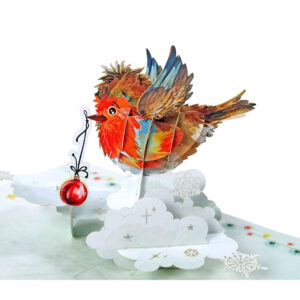 Set-Robin-3D-card-Christmas-03