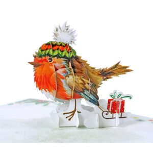 Set-Robin-3D-card-Christmas-05