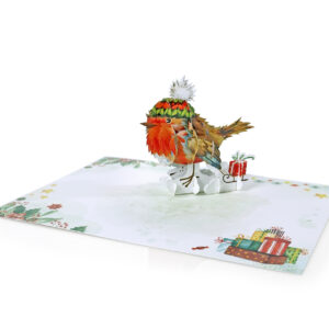 Set-Robin-3D-card-Christmas-06