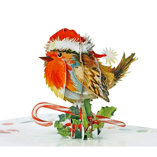 Set-Robin-3D-card-Christmas-07