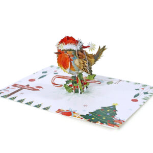 Set-Robin-3D-card-Christmas-08