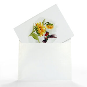 Sun-Flower-Greeting-Cards-With-Hummingbird-3D-Popup-10