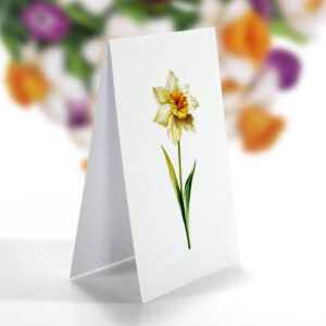 White-Narcissus-3D-popup-bouquet-handmade-06