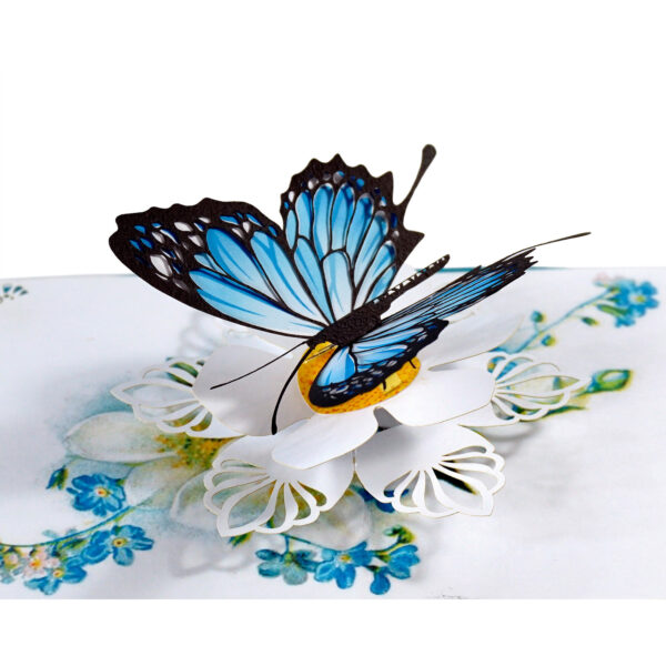 Blue-Butterfly-Get-Well-3D-Greeting-Card-Thank-You-Card-01