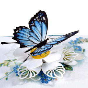 Blue-Butterfly-Get-Well-3D-Greeting-Card-Thank-You-Card-03