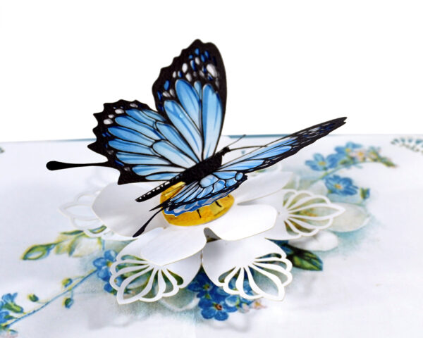 Blue-Butterfly-Get-Well-3D-Greeting-Card-Thank-You-Card-03