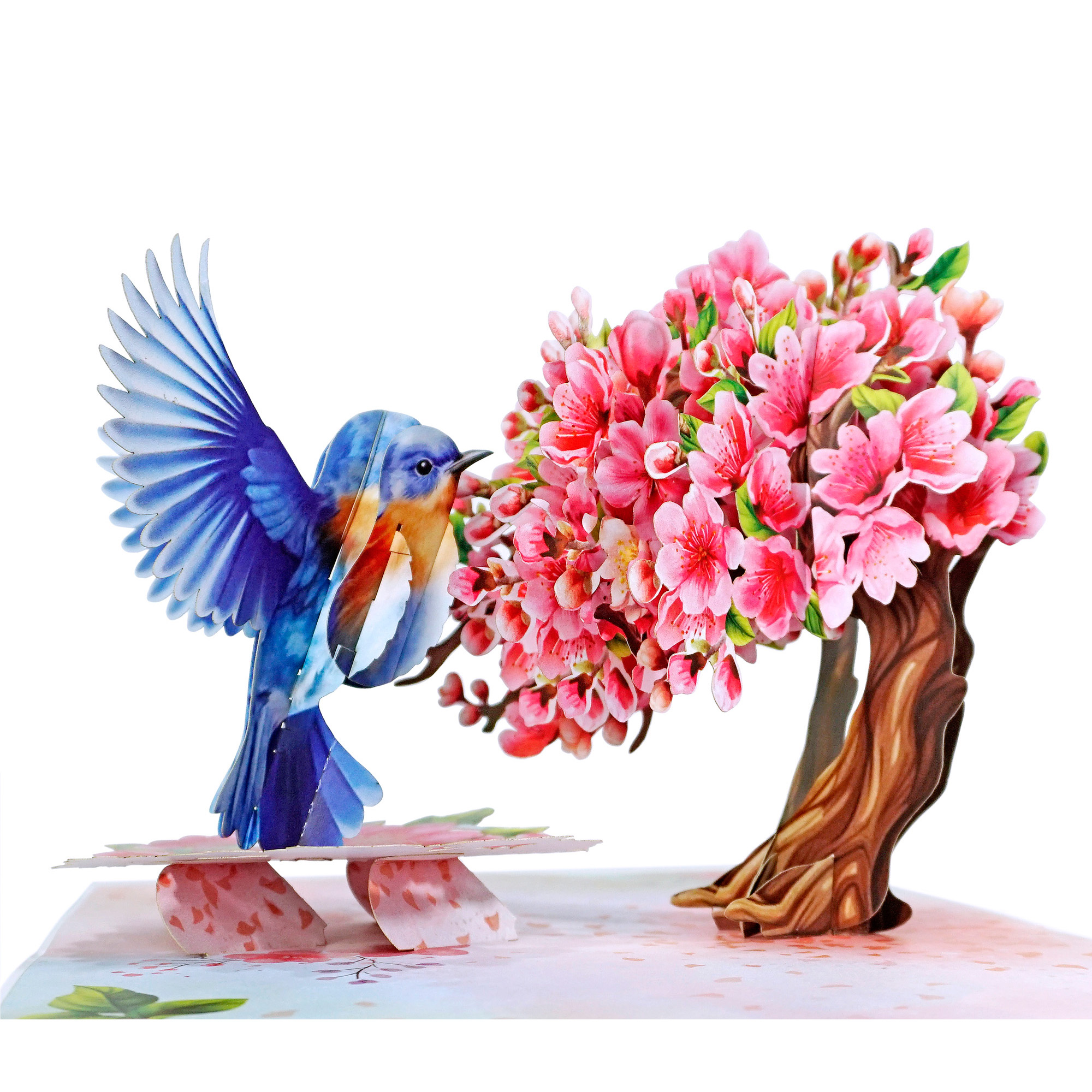 Robin-with-tree-cherry-blossom-3D-popup-greeting-card-00