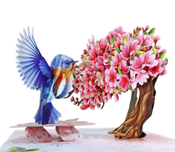 Robin-with-tree-cherry-blossom-3D-popup-greeting-card-01