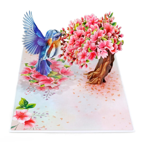 Robin-with-tree-cherry-blossom-3D-popup-greeting-card-02