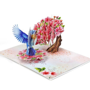 Robin-with-tree-cherry-blossom-3D-popup-greeting-card-03