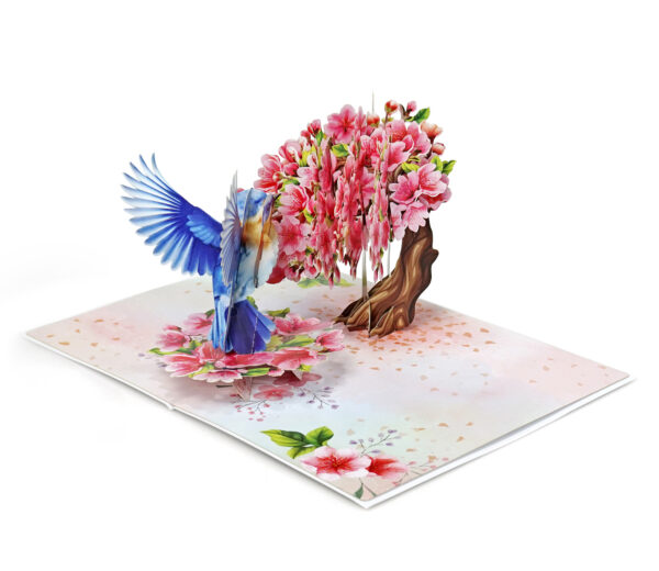 Robin-with-tree-cherry-blossom-3D-popup-greeting-card-03