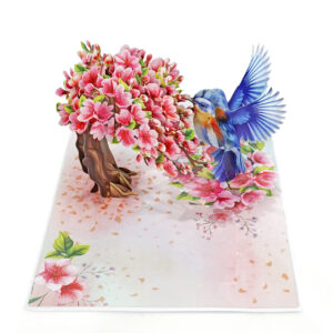 Robin-with-tree-cherry-blossom-3D-popup-greeting-card-04