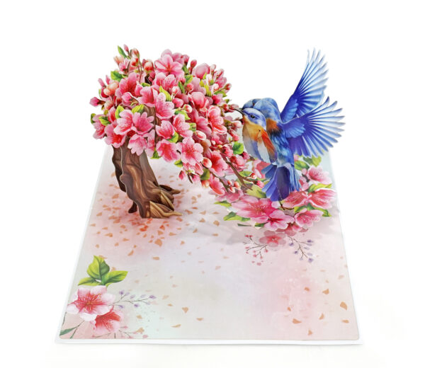 Robin-with-tree-cherry-blossom-3D-popup-greeting-card-04