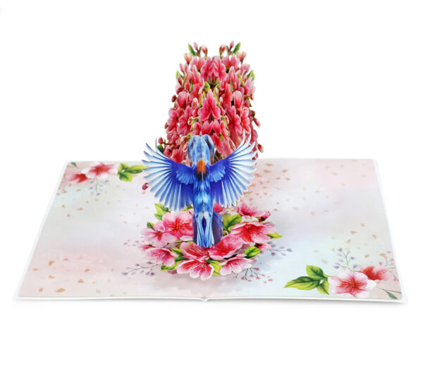 Robin-with-tree-cherry-blossom-3D-popup-greeting-card-06