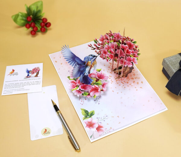 Robin-with-tree-cherry-blossom-3D-popup-greeting-card-07