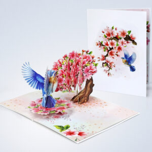 Robin-with-tree-cherry-blossom-3D-popup-greeting-card-08