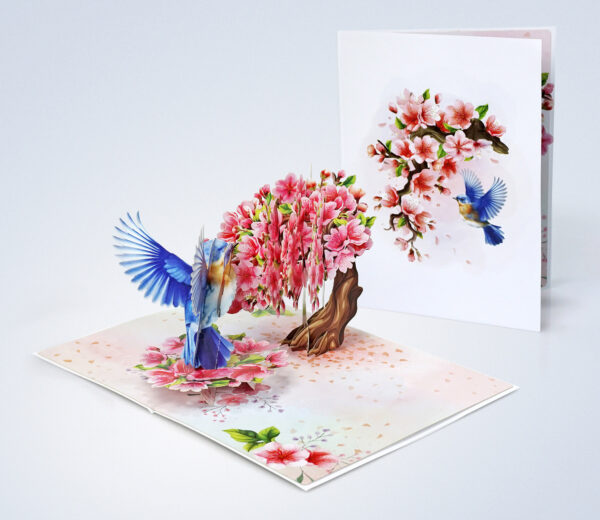 Robin-with-tree-cherry-blossom-3D-popup-greeting-card-08