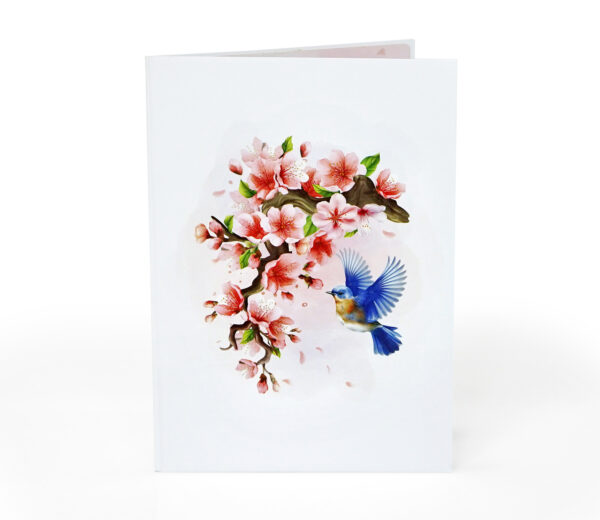 Robin-with-tree-cherry-blossom-3D-popup-greeting-card-10