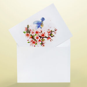 Robin-with-tree-cherry-blossom-3D-popup-greeting-card-11