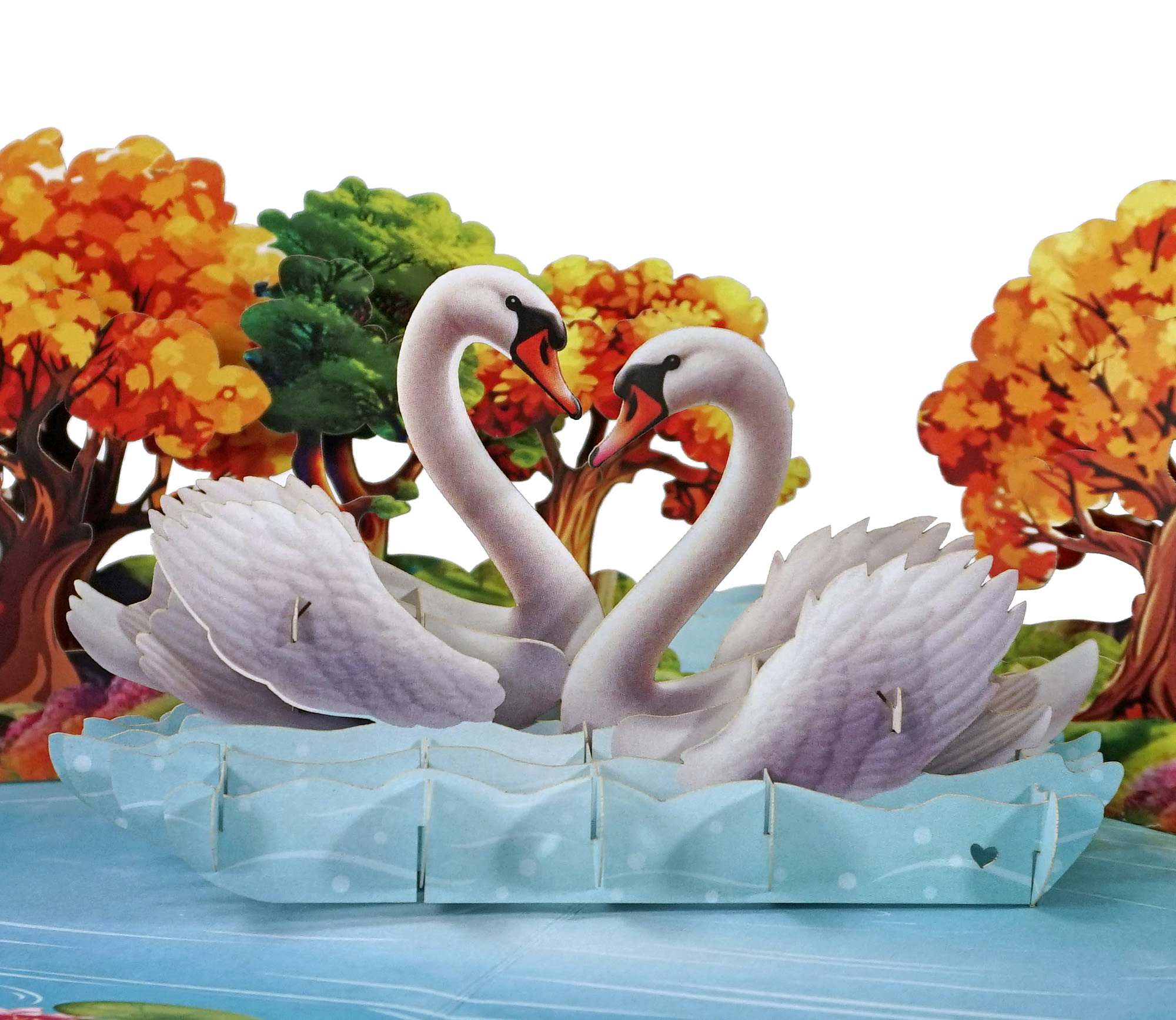 Valentine-3D-greeting-card-swans-swimming-popup-01