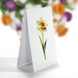 White-Narcissus-3D-popup-bouquet-handmade-SM-05